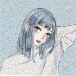 自由的风